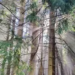 Apartmán 
